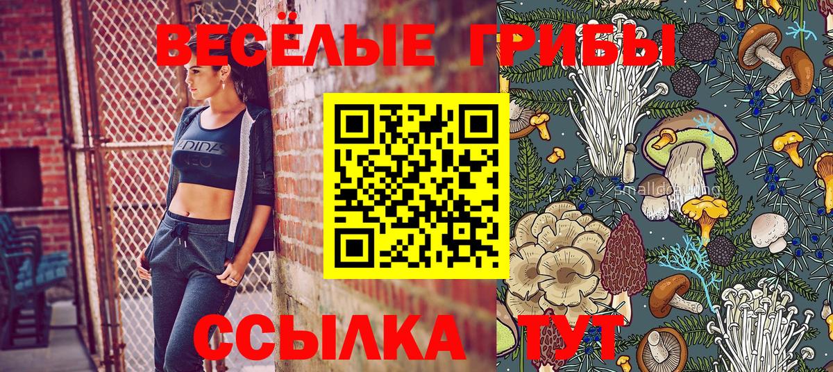 закладки  Галлюциногенные грибы Psilocybine cubensis  Вход с VPN  Егорьевск 