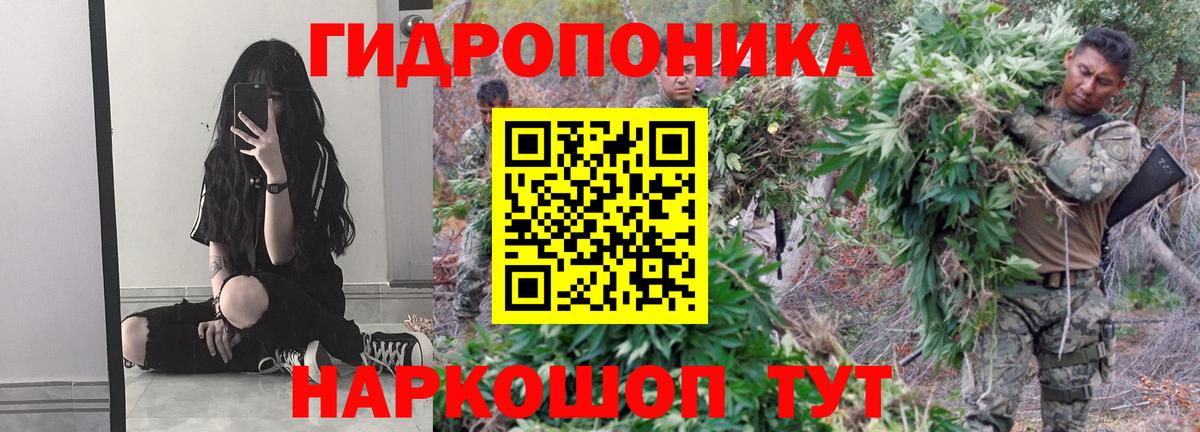 Шишки марихуана Amnesia Егорьевск